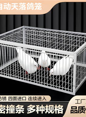 收鸽笼捕鸽神器全自动室外天落笼