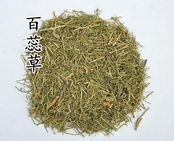 申奥中药材 百蕊草 百乳草 地石榴 草檀 积药草 50克