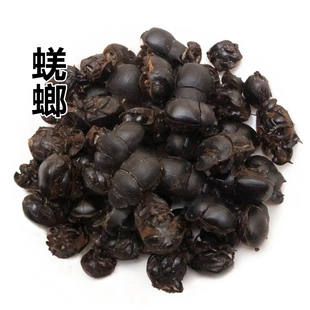 中药材 大将军 蜣螂虫 屎壳郎 50g
