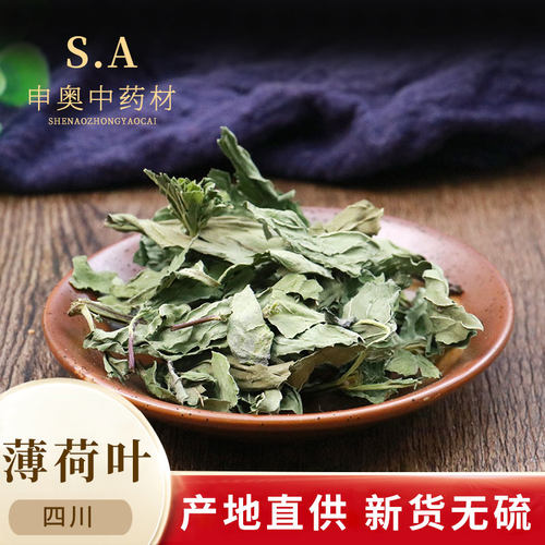 新鲜食用干薄荷叶