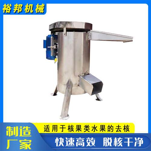 杏梅肉核分离机 大型水蜜桃果肉粉碎脱核机 不锈钢鲜果去核设备