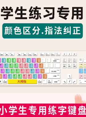 适用于三四年级小学生初学者拼音练习打字外接键盘训练神器学电脑