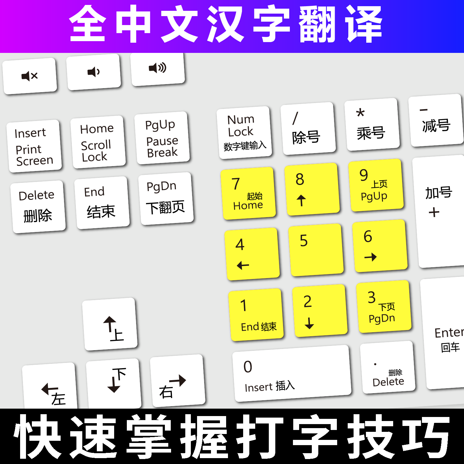 适用于DELL戴尔台式机键盘膜电脑打字练习学生盲打训练手指分区贴