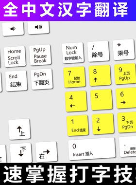 适用于DELL戴尔台式机键盘膜电脑打字练习学生盲打训练手指分区贴