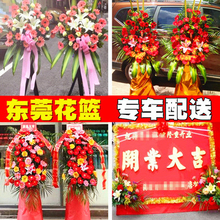 东莞开业花篮开张乔迁庆典同城鲜花速递大朗东城虎门长安塘厦花店