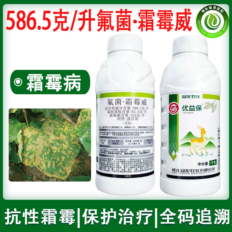 氟吡菌胺霜霉威黄瓜霜霉病疫病