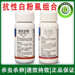 烯啶虫胺呋虫胺白粉虱专用药辣椒番茄黄瓜茄子白粉虱农药杀虫剂