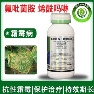 益霜刻36%氟吡菌胺烯酰吗啉番茄黄瓜辣椒霜霉病疫病农药杀菌剂