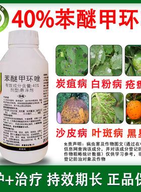 40%苯醚甲环唑 果树西瓜柑橘炭疽病叶斑病白粉病疮痂病农药杀菌剂
