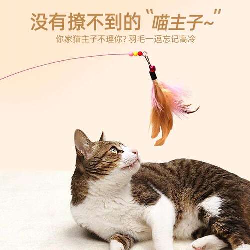 逗猫棒猫咪玩具自嗨解闷