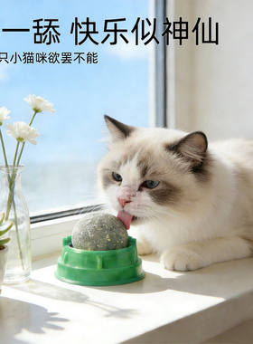 猫薄荷棒棒糖逗猫自嗨磨牙玩具