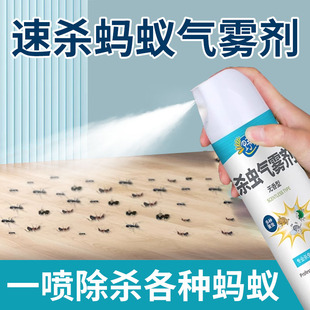 除蚂蚁药家用非无毒喷雾阳台面厨房灭小黄红黑蚂蚁害杀虫气雾剂灵