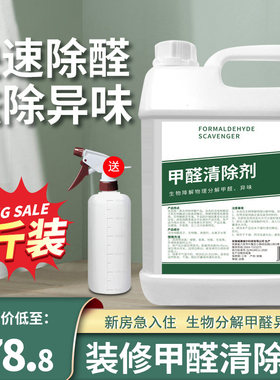 新房子甲醛清除剂家具室内间异味