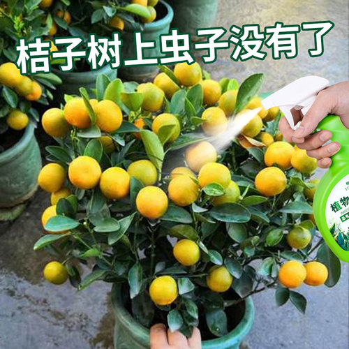 桔子树杀虫药剂橘红蜘蛛灭潜叶蛾