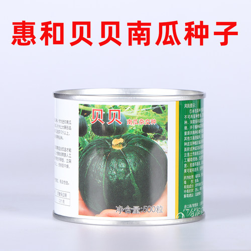 贝贝南瓜种子上海惠和一号正品