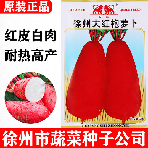 双狮牌徐州大红袍萝卜种子品质好