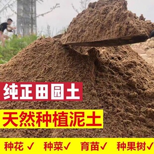 纯天然田园土高温杀菌种菜专用营养土50斤盆栽种菜优质黄泥土沙土