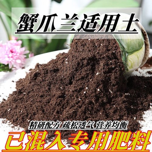 蟹爪兰专用土蟹爪兰土盆栽营养土通用种花养花泥土壤种植土有机肥
