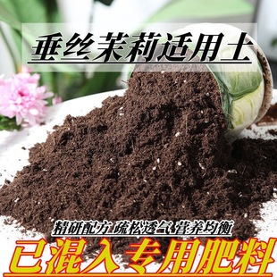 垂丝茉莉土垂丝茉莉专用土酸性土椰糠泥炭土壤盆栽通用营养土花肥