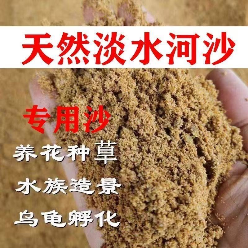 河沙细沙粗沙颗粒沙黄沙子鱼缸螃蟹乌龟冬眠多肉沙君子兰配土沙石,基础建材,粗沙,淘宝优惠券,粉丝福利购,淘宝优惠卷