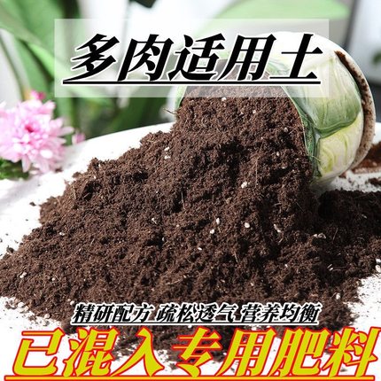 多肉适用土疏松透气盆栽绿植专用泥炭室内植物家用绿植营养土肥料