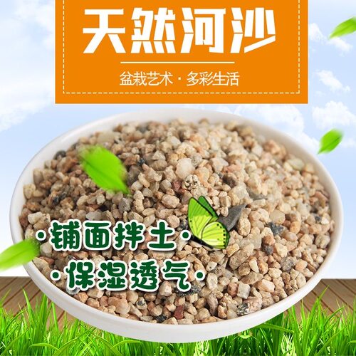 天然优质免洗河沙粗沙细沙养花养龟儿童玩耍建筑铺面鱼缸造景底砂