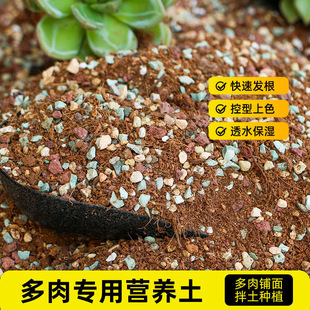 花土通用型家用多肉专用营养土养花种花种菜种植泥土绿萝有机土壤