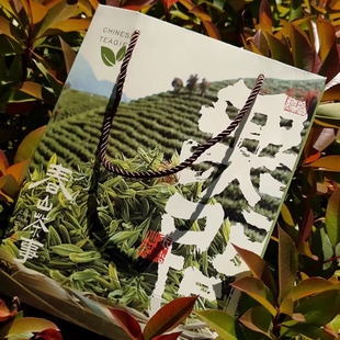 茶叶包装铁罐古风新中式传统茶文化东方美学茶叶罐手提袋礼品袋