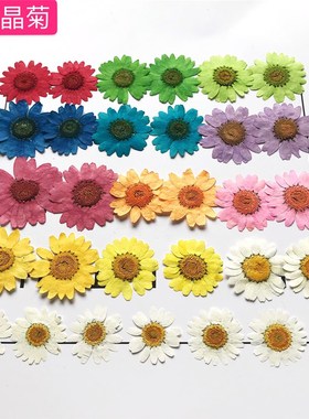 白晶菊雏菊押花干花手工滴胶DIY饰品手机壳网红妆pressed flowers