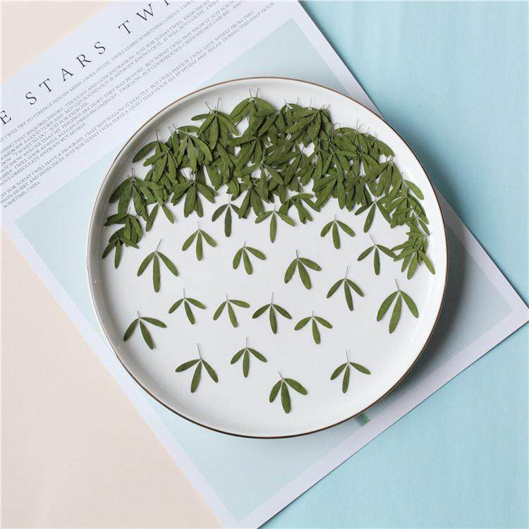 夜关门 干花 押花 植物标本 DIY手工 滴胶手机壳 模具饰品 相框