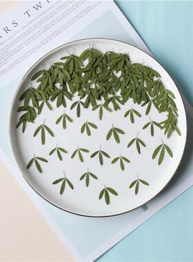 diy关门植物标本滴胶手机壳干花