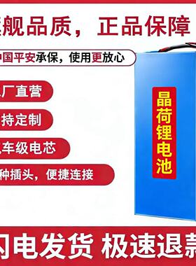 电动车锂电池48v36v滑板车代驾24v折叠车电动自行车电池10ah12ah