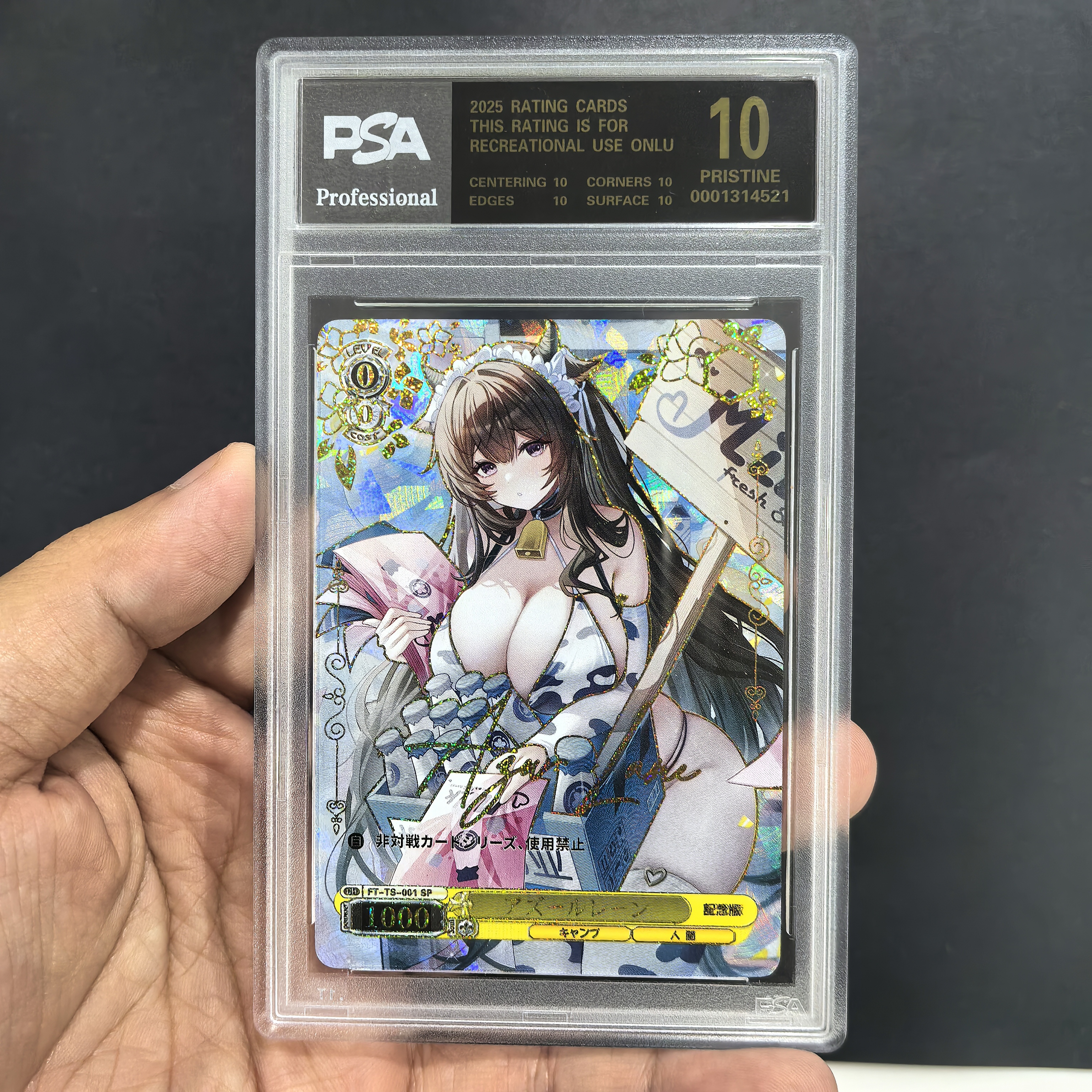 DIY自制ws黑白双翼10弹纪念版碧蓝航线全套15张  玻璃烫金镭射闪