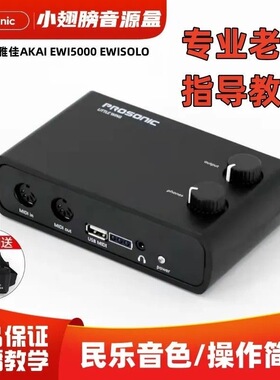 二手小翅膀音源盒,无笛C2雅佳5000 4000S soloC专用 成色好