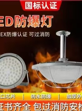 LED防爆灯 飞碟型100W车间仓库厂房防爆驱动款圆形防爆灯灯具