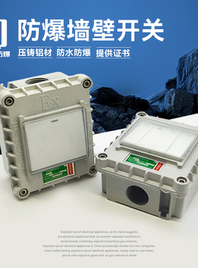 防爆墙壁开关220V10A86型单联双联三联双控翘板照明开关