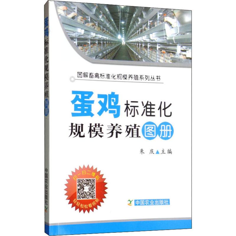 新华书店 全新正版
