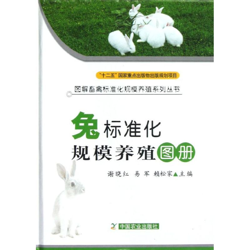 新华书店 全新正版