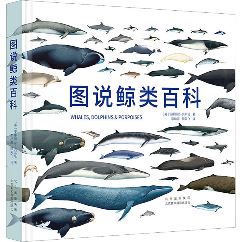 图说鲸类百科 (美)安娜丽莎·贝尔塔 著 李松海,薛天飞 译 鲸鱼分特征分类大全图书 海豚鲸类须鲸齿鲸海洋动物科普类读物书籍