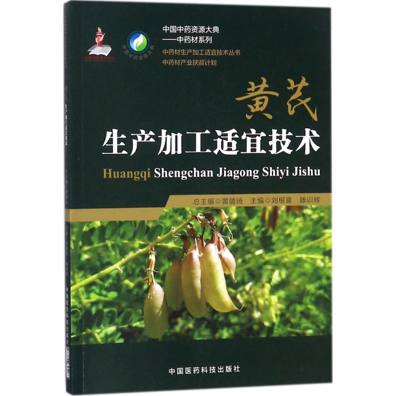 新华书店 全新正版