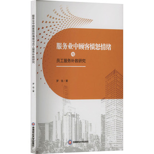 市場銷售營銷策劃等專業(yè)知識書籍 服務業(yè)中顧客憤怒情緒與員工服務補救研究 羅佳 著 西南財經(jīng)大學出版