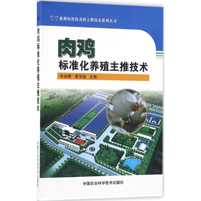 新华书店 全新正版