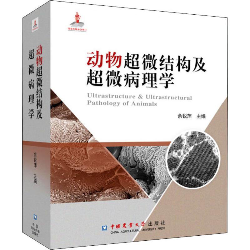 新华书店 全新正版