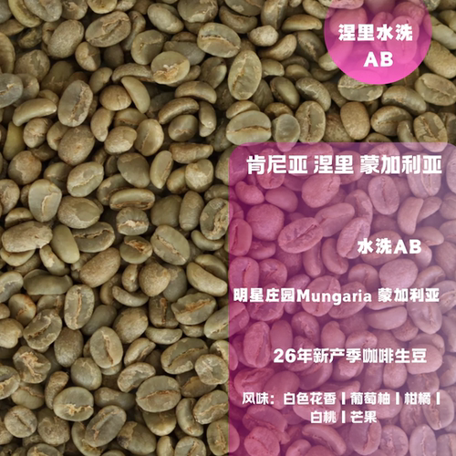 26新产季咖啡生豆 肯尼亚 涅里 蒙加利亚 水洗 AB 咖啡包邮
