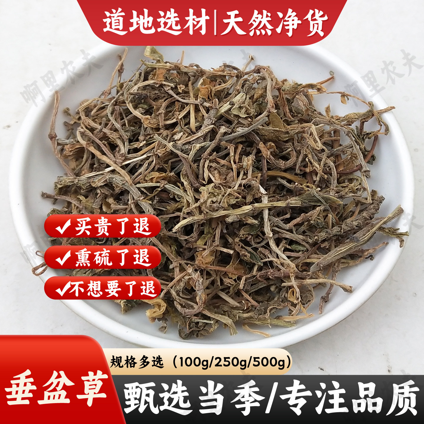 垂盆草中药材500克g新货垂盆草 非特级精选野生垂盆草老鼠芽包邮