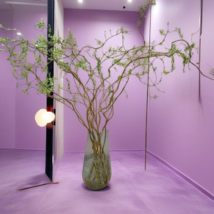 龙柳鲜枝水养懒人水培植物水里养的花落地易成活高端客摆四季绿植