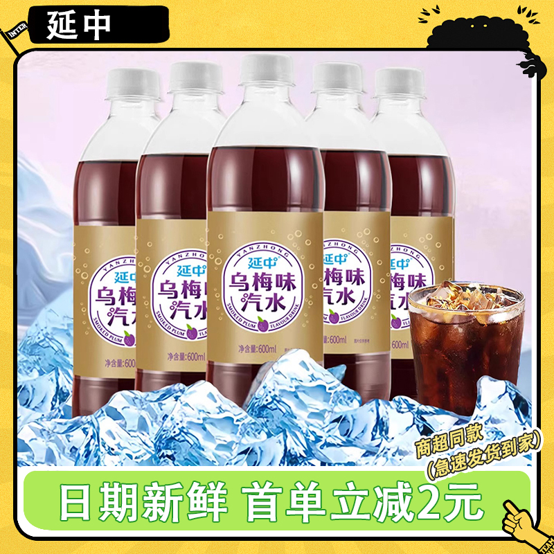延中乌梅味汽水600ml*20瓶整箱