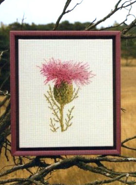 小小鱼DMC绣线 B1267素雅蒲公英古典欧式精准印花十字绣套件