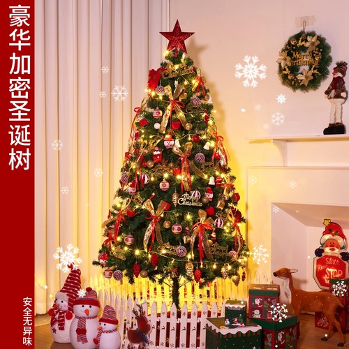 圣诞树家用客厅加密diy发光大型摆件2025新款圣诞节装饰品布置