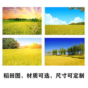 水稻田梯田饭店酒店装饰墙中式田园画大丰收餐厅挂画稻谷风景贴画